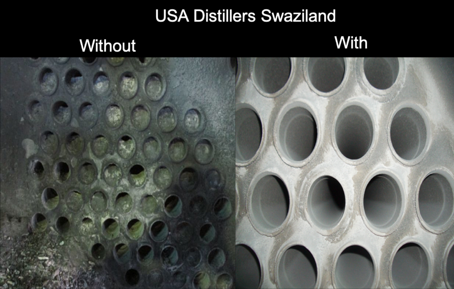 USA Distillers Swaziland after 11 months